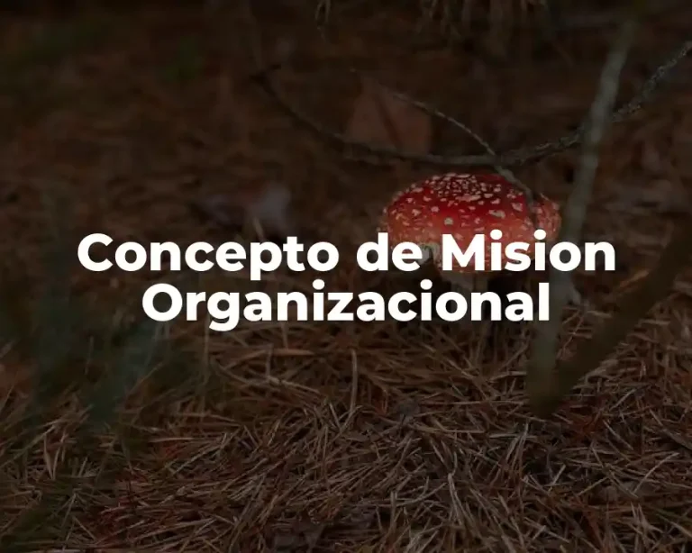 Concepto de Mision Organizacional