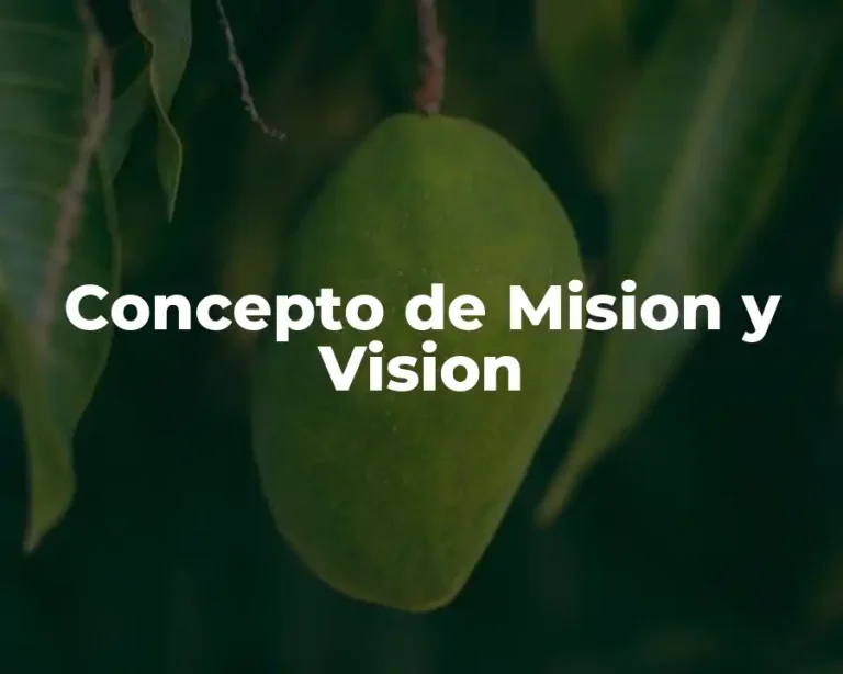 Concepto de Mision y Vision