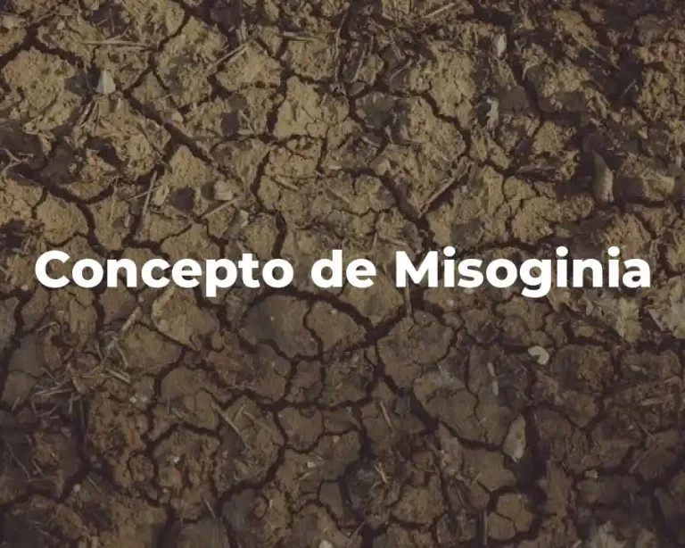 Concepto de Misoginia