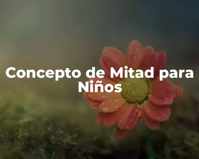Concepto de Mitad para Niños