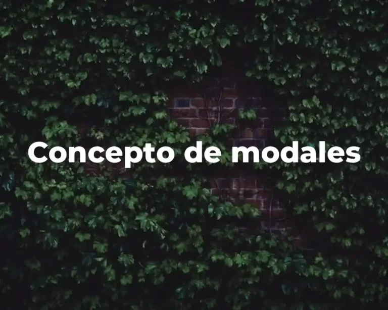 Concepto de modales