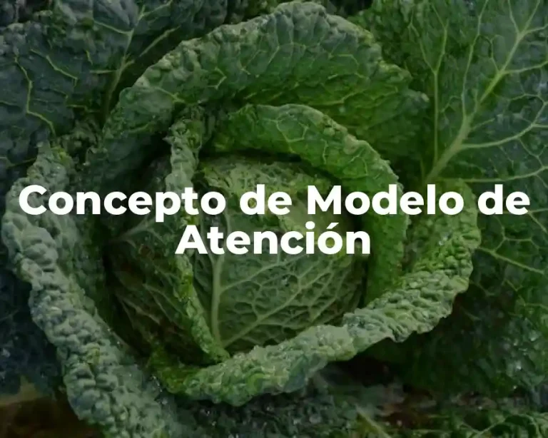 Concepto de Modelo de Atención