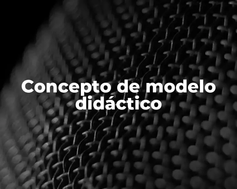 Concepto de modelo didáctico