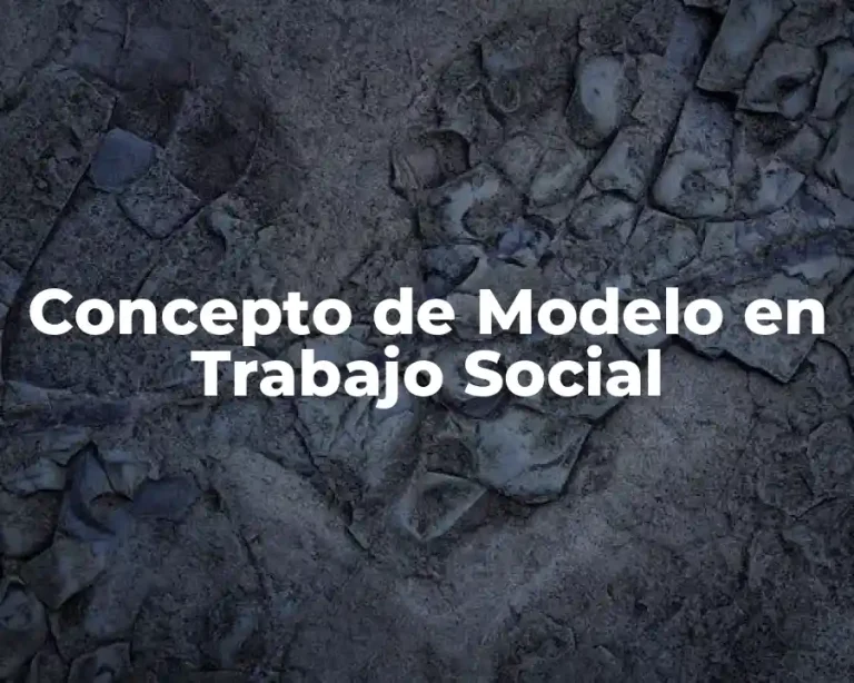 Concepto de Modelo en Trabajo Social