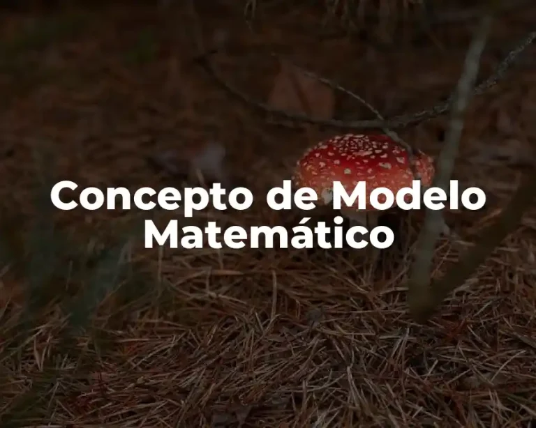Concepto de Modelo Matemático