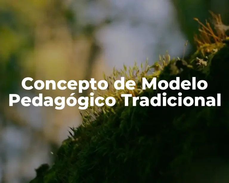 Concepto de Modelo Pedagógico Tradicional