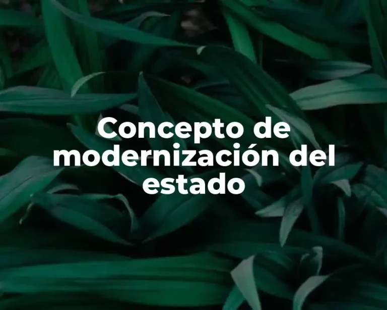 Concepto de modernización del estado
