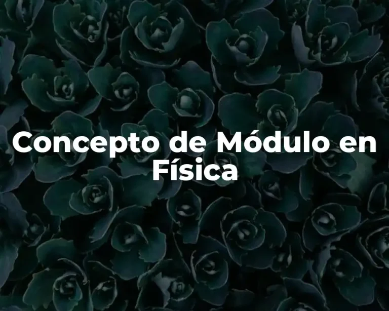 Concepto de Módulo en Física