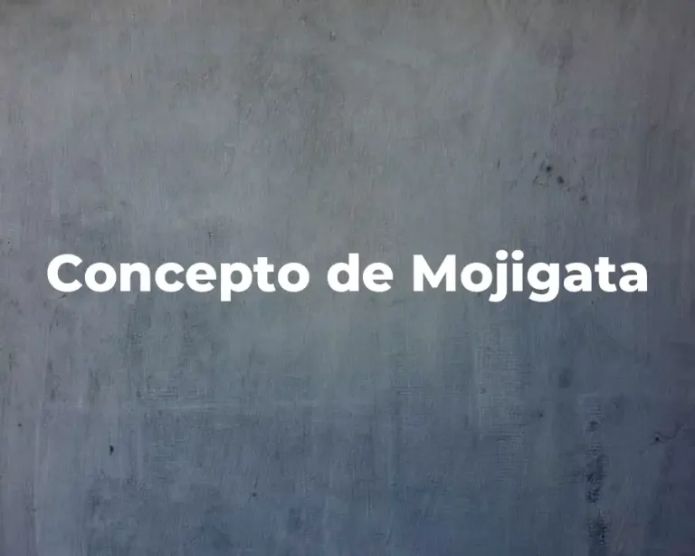 Concepto de Mojigata