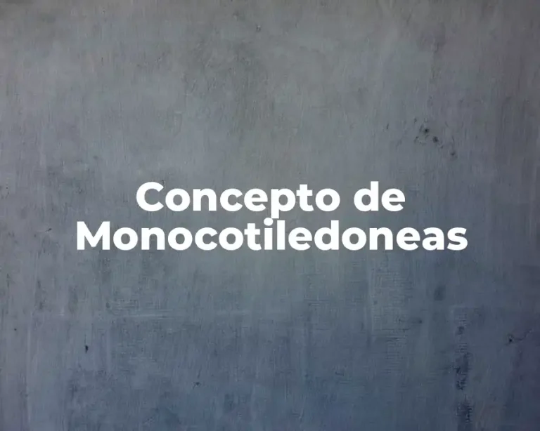 Concepto de Monocotiledoneas