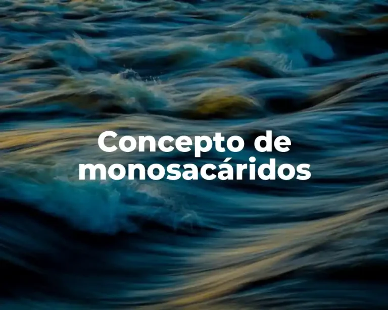 Concepto de monosacáridos