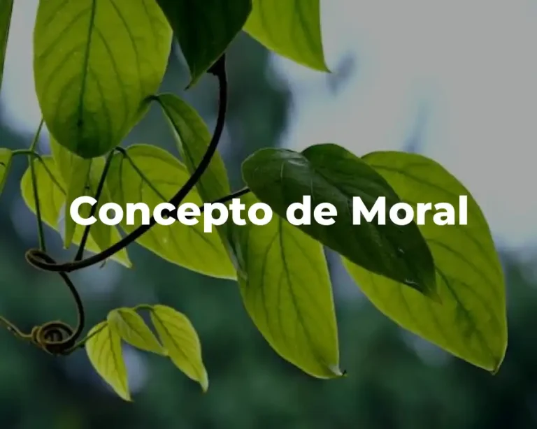 Concepto de Moral