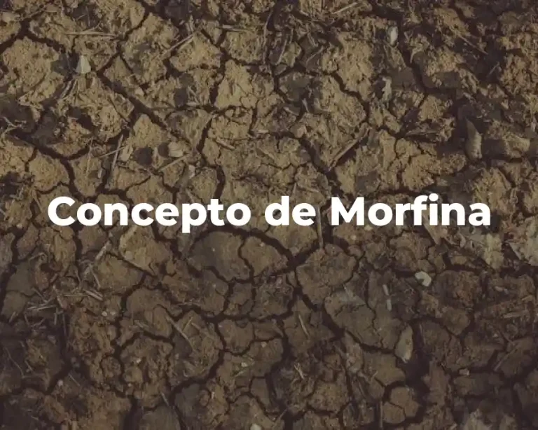 Concepto de Morfina