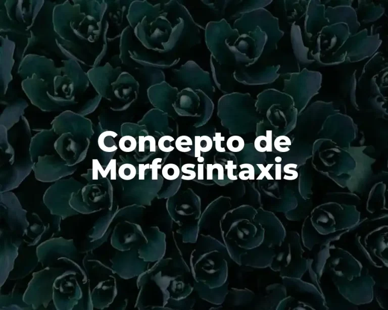 Concepto de Morfosintaxis