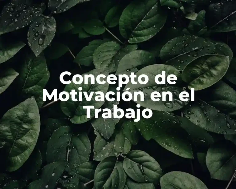 Concepto de Motivación en el Trabajo