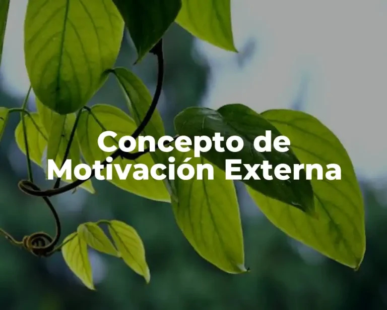 Concepto de Motivación Externa