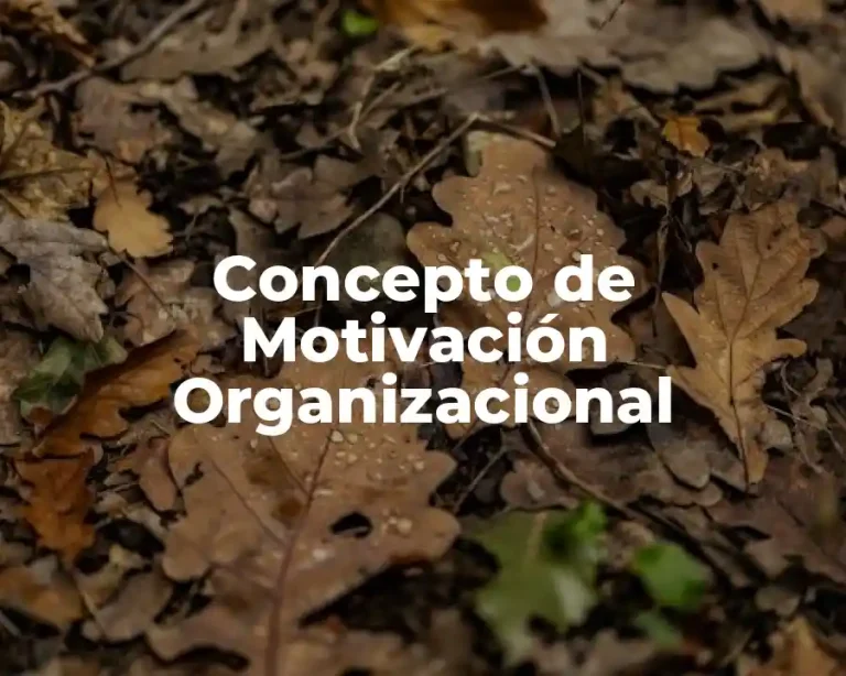Concepto de Motivación Organizacional