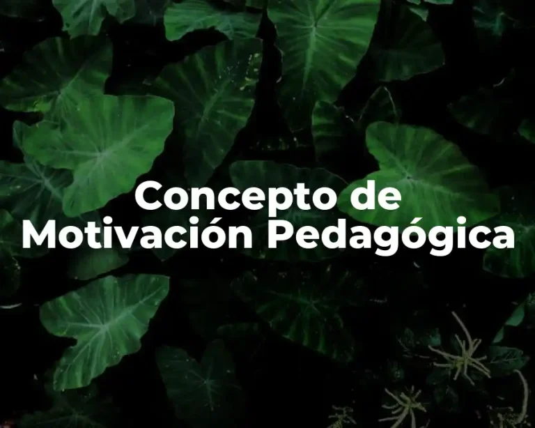 Concepto de Motivación Pedagógica