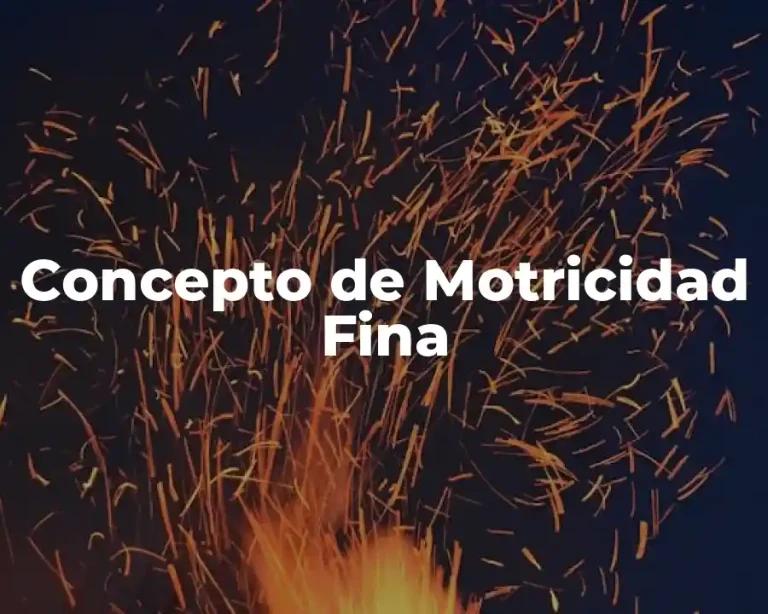 Concepto de Motricidad Fina