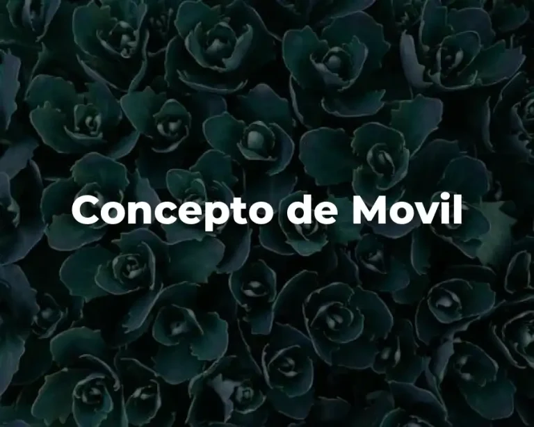 Concepto de Movil