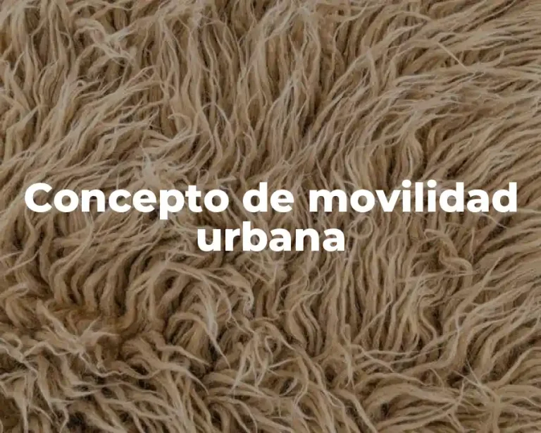 Concepto de movilidad urbana