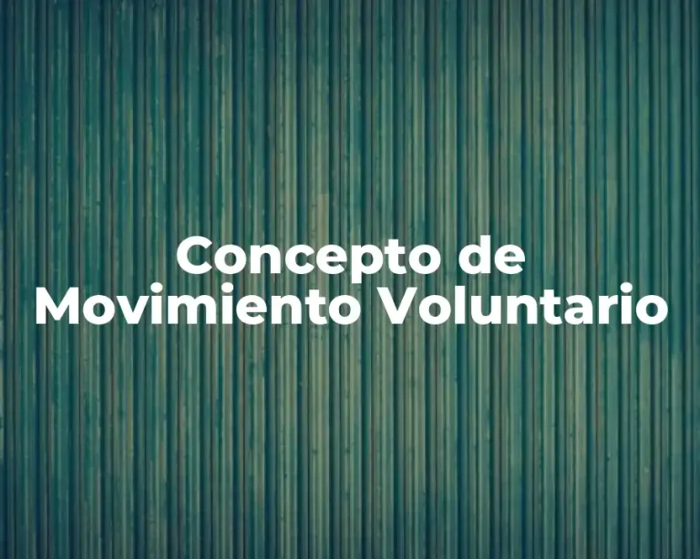 Concepto de Movimiento Voluntario