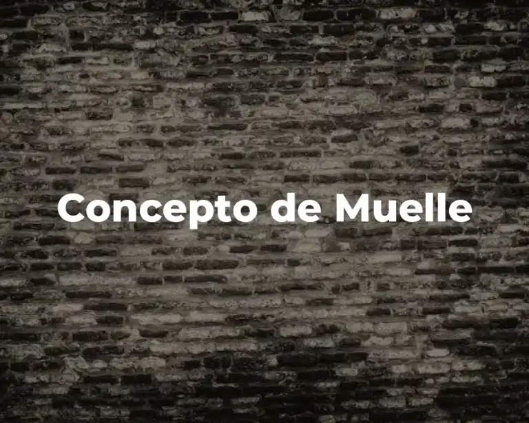Concepto de Muelle