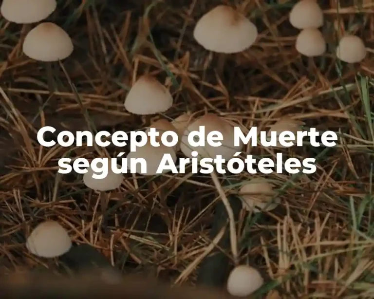 Concepto de Muerte según Aristóteles