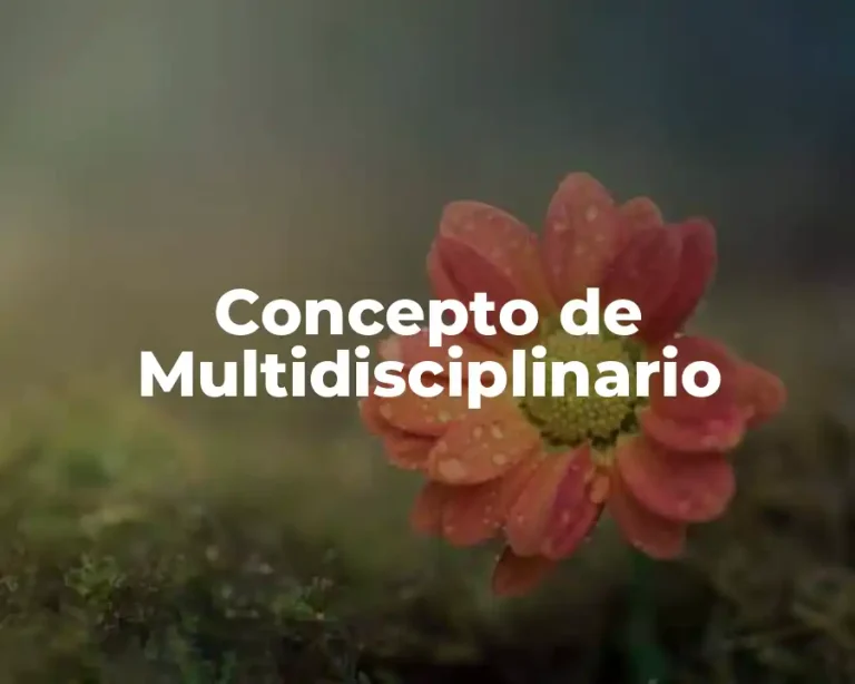 Concepto de Multidisciplinario