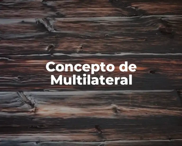 Concepto de Multilateral