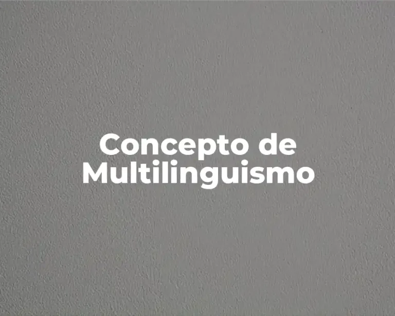 Concepto de Multilinguismo