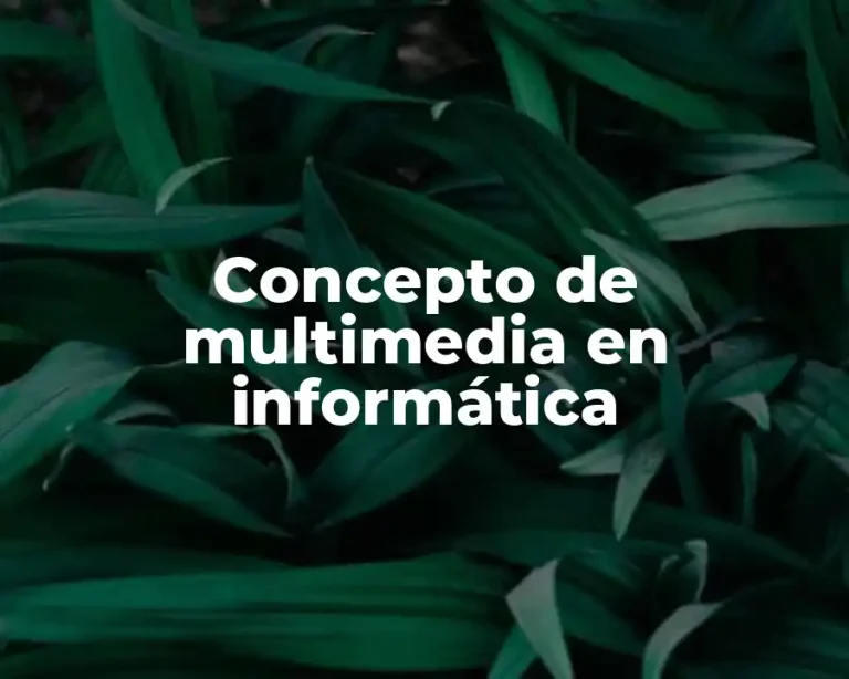 Concepto de multimedia en informática