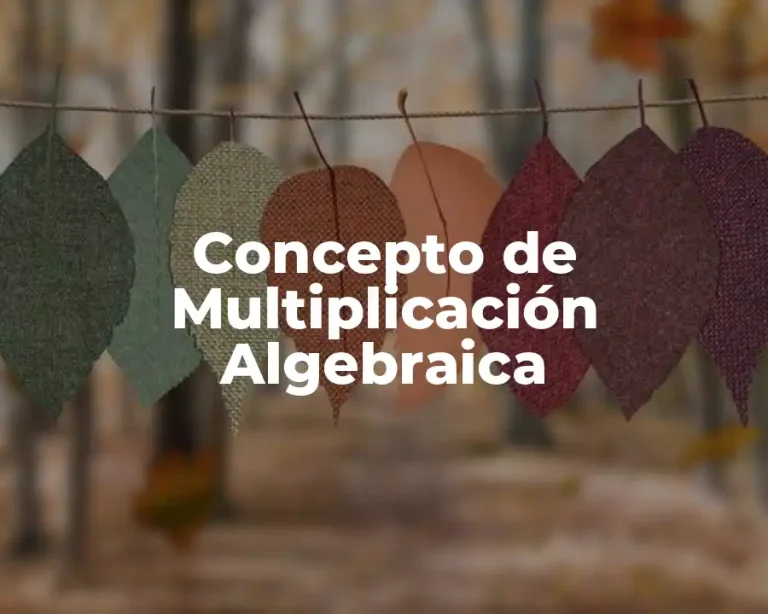 Concepto de Multiplicación Algebraica