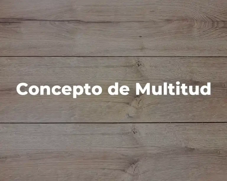 Concepto de Multitud