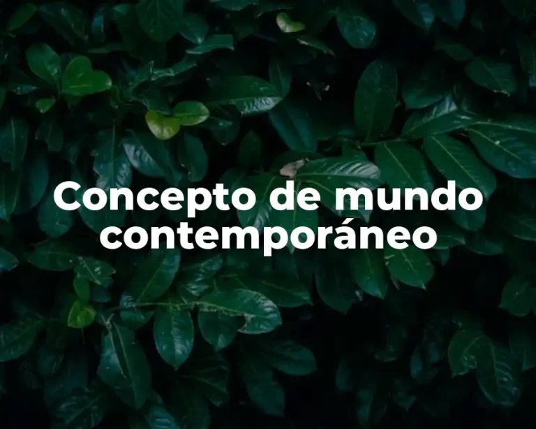 Concepto de mundo contemporáneo
