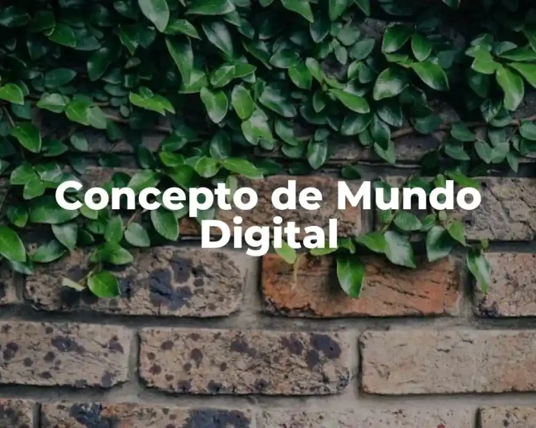 Concepto de Mundo Digital