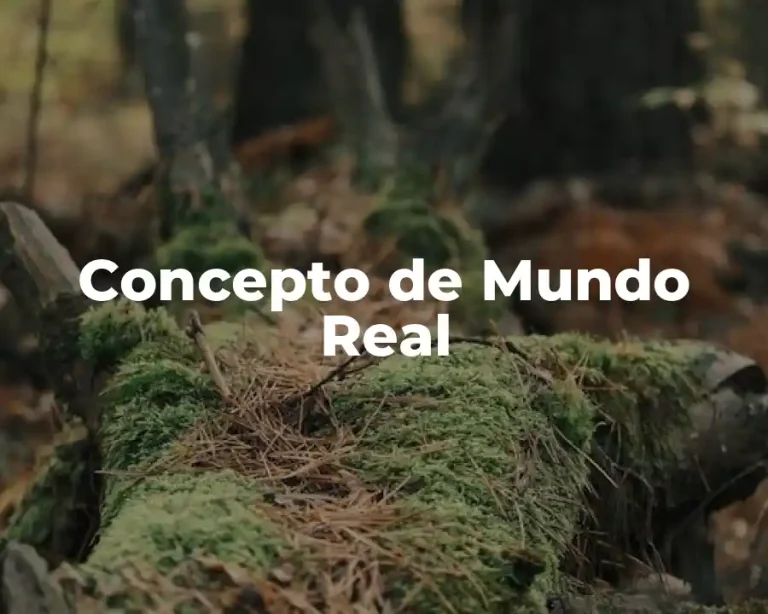 Concepto de Mundo Real