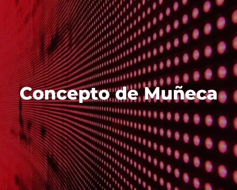 Concepto de Muñeca
