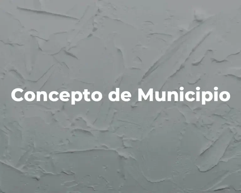 Concepto de Municipio