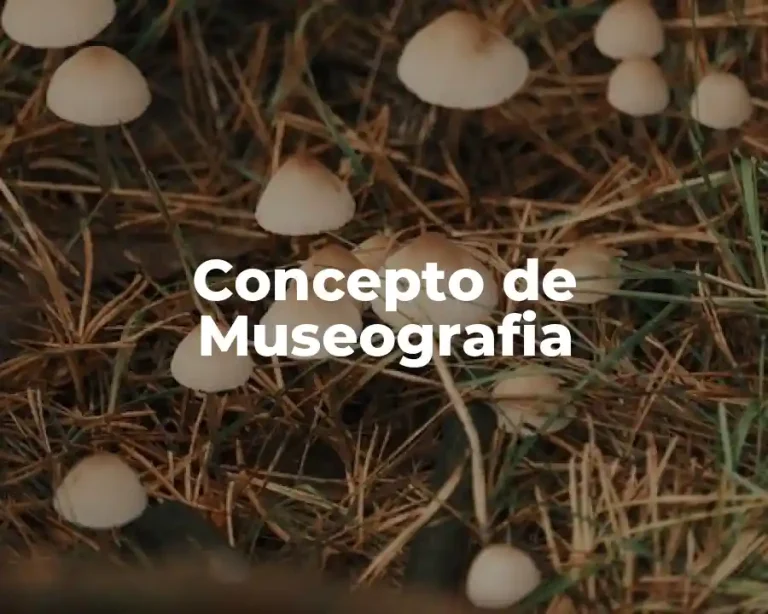 Concepto de Museografia