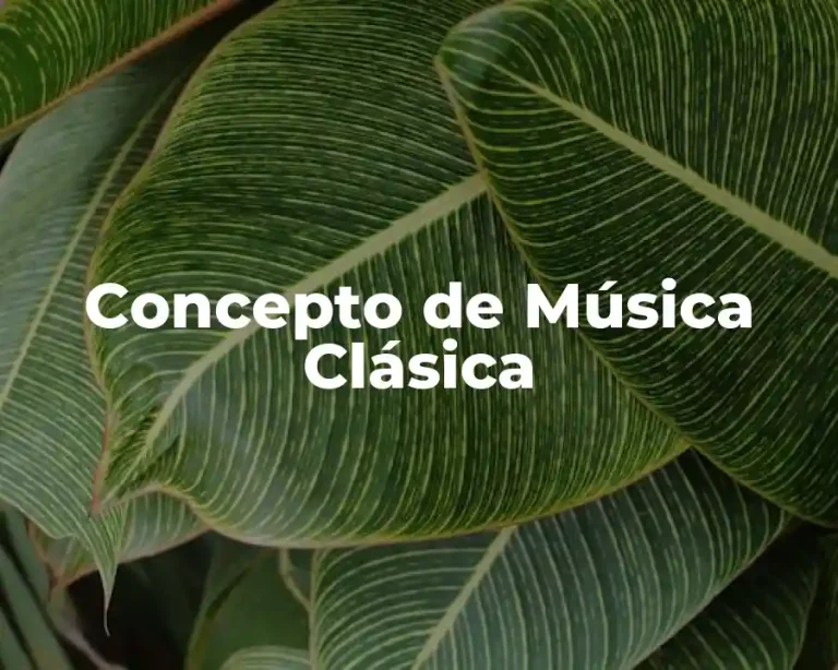 Concepto de Música Clásica