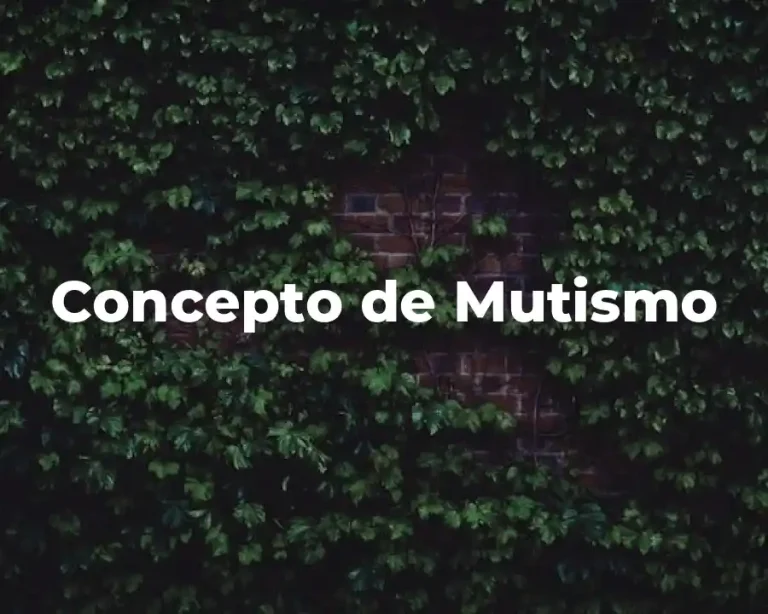 Concepto de Mutismo