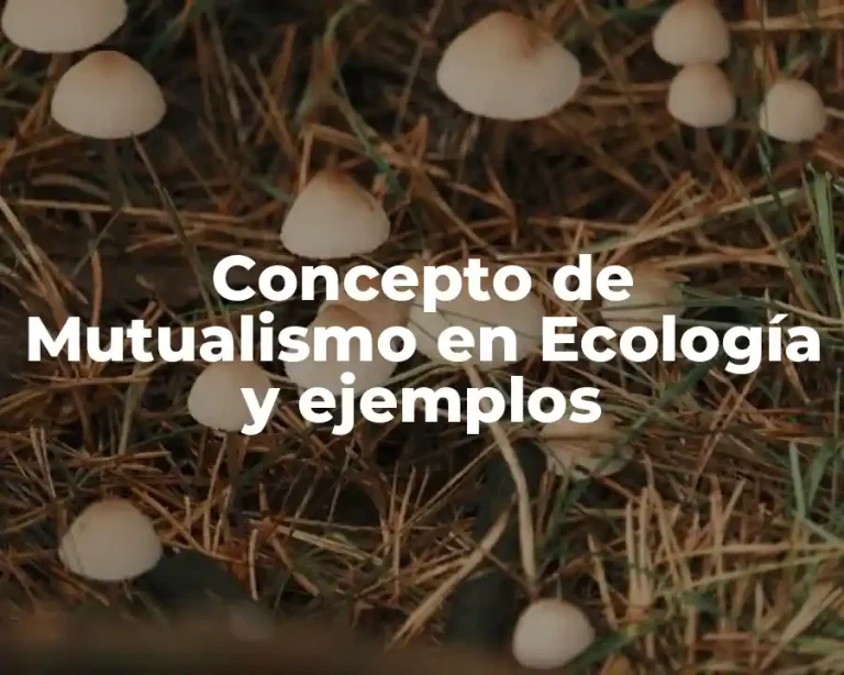 Concepto de Mutualismo en Ecología y ejemplos