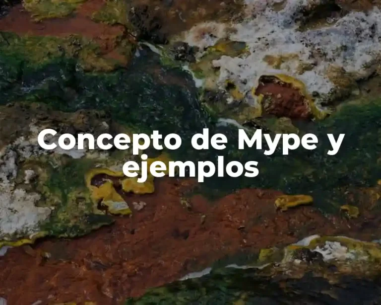 Concepto de Mype y ejemplos