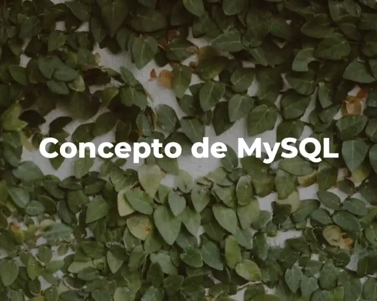Concepto de MySQL