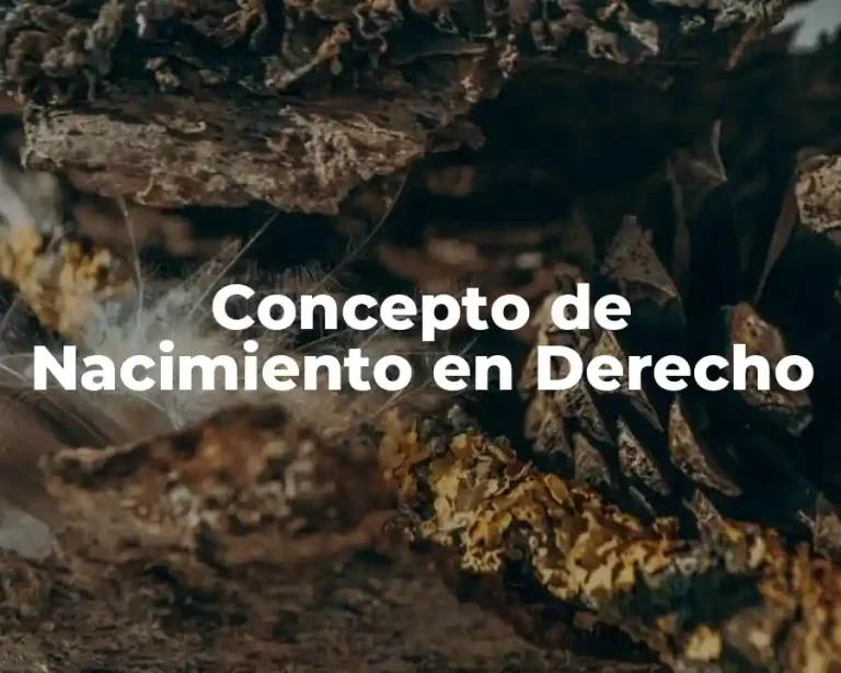 Concepto de Nacimiento en Derecho