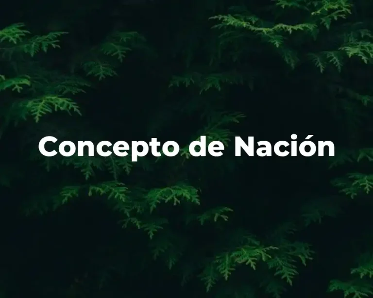 Concepto de Nación