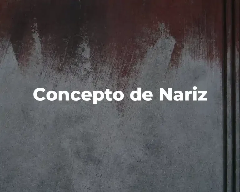 Concepto de Nariz