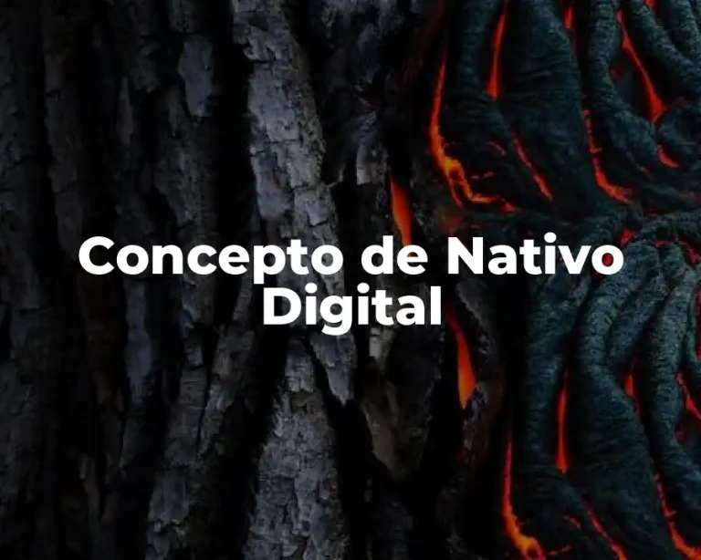 Concepto de Nativo Digital
