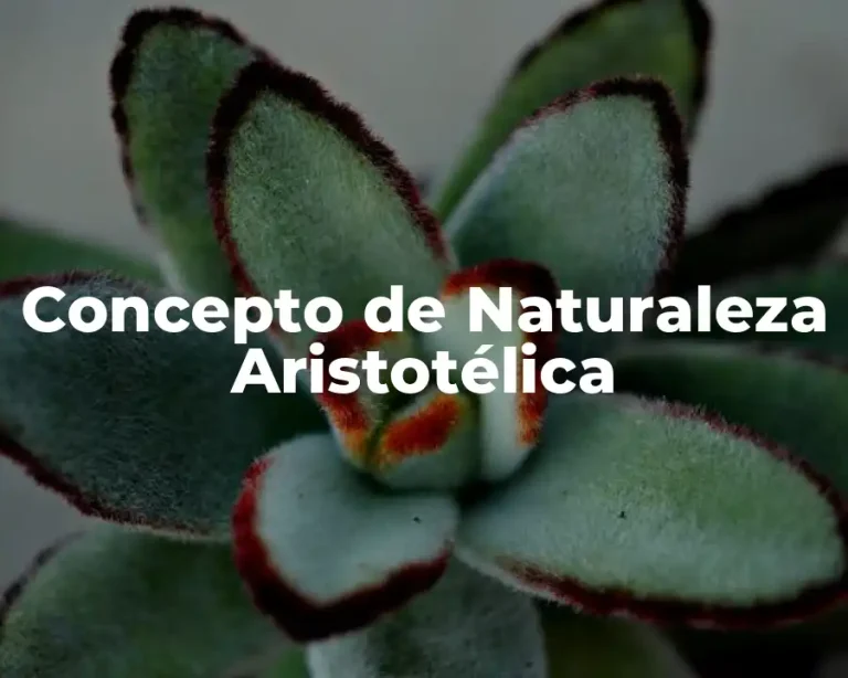 Concepto de Naturaleza Aristotélica